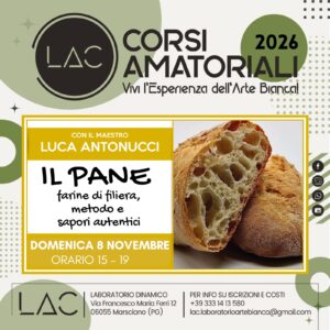 IL PANE: tra farine di filiera, metodo e sapori autentici 